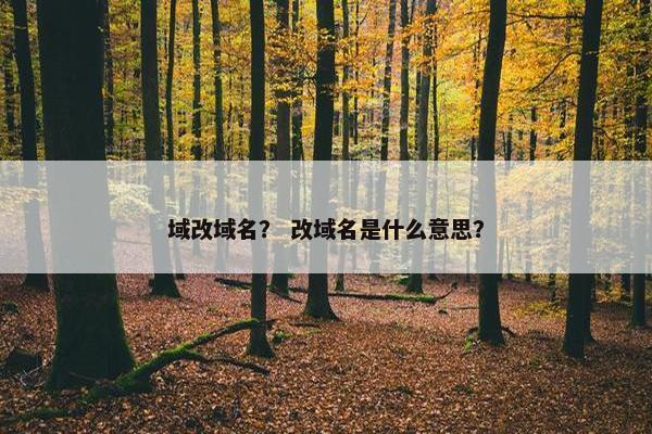 域改域名？ 改域名是什么意思？