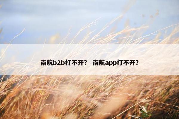 南航b2b打不开? 南航app打不开?