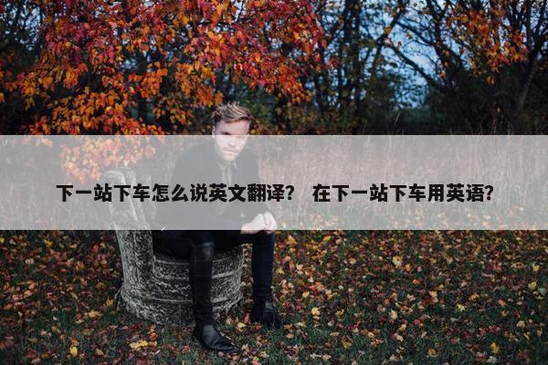 下一站下车怎么说英文翻译？ 在下一站下车用英语？