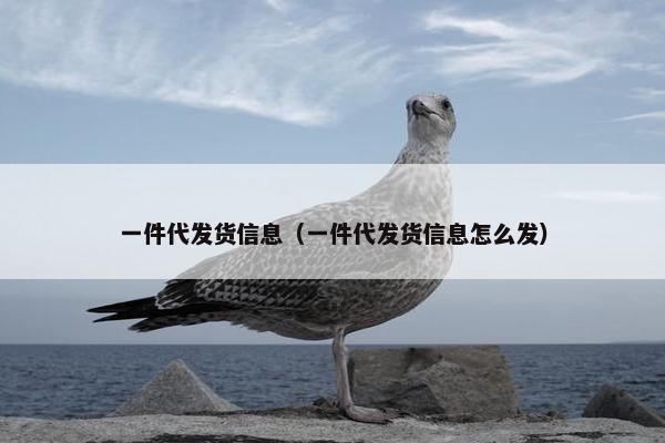 一件代发货信息(一件代发货信息怎么发)