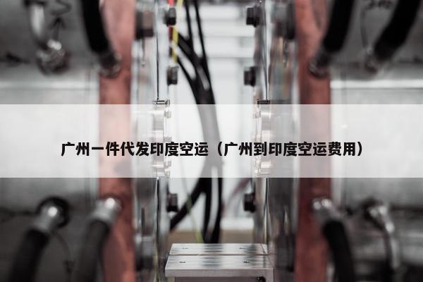 广州一件代发印度空运(广州到印度空运费用)