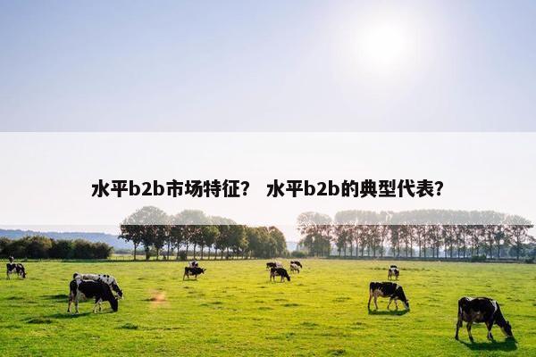 水平b2b市场特征? 水平b2b的典型代表?