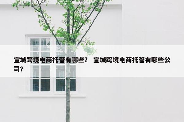 宣城跨境电商托管有哪些? 宣城跨境电商托管有哪些公司? 宣城跨境电商托管有哪些? 宣城跨境电商托管有哪些公司?