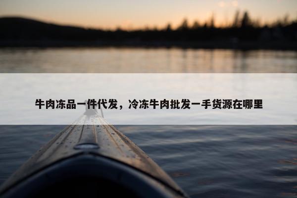 牛肉冻品一件代发，冷冻牛肉批发一手货源在哪里