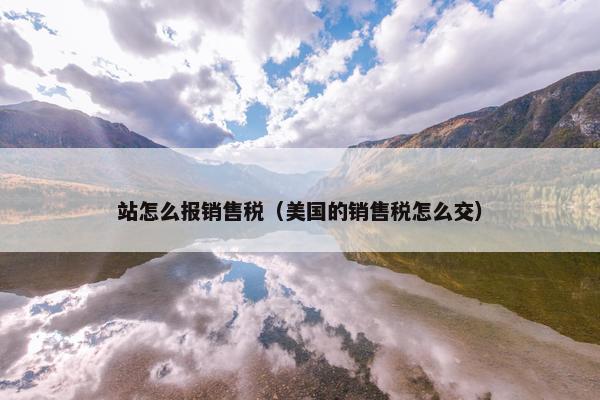 站怎么报销售税（美国的销售税怎么交）