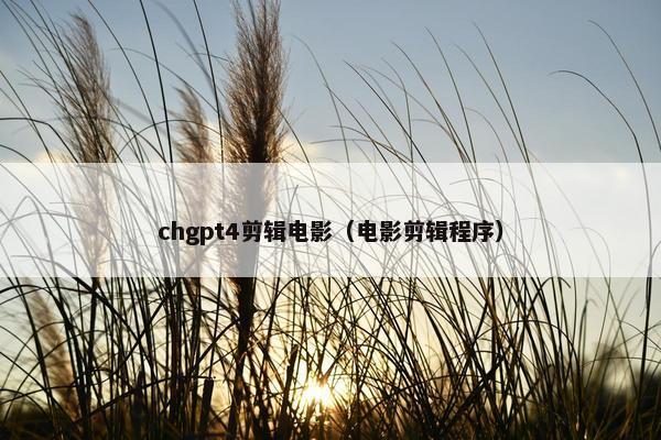 chgpt4剪辑电影(电影剪辑程序)