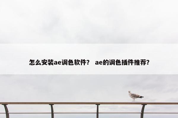 怎么安装ae调色软件？ ae的调色插件推荐？