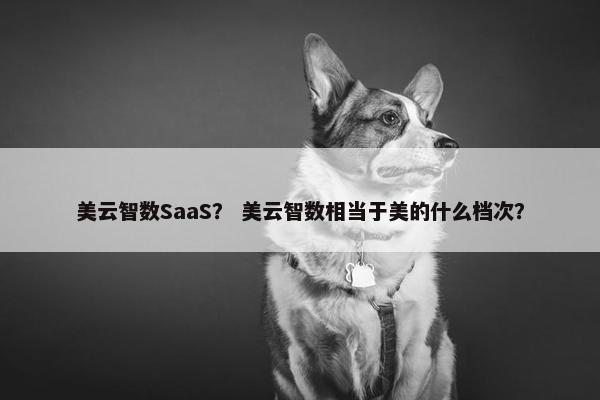 美云智数SaaS？ 美云智数相当于美的什么档次？