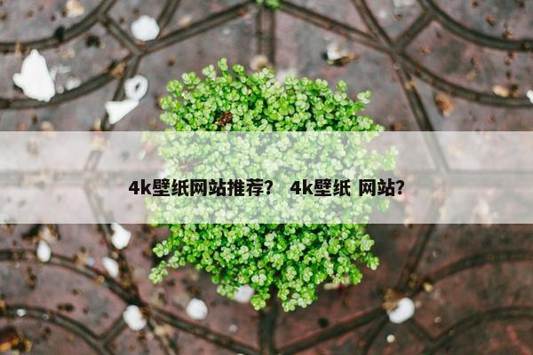 4k壁纸网站推荐? 4k壁纸 网站? 4k壁纸网站推荐? 4k壁纸 网站?