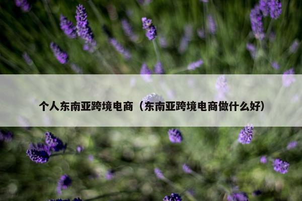 个人东南亚跨境电商（东南亚跨境电商做什么好）