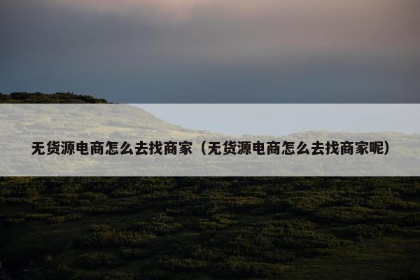 无货源电商怎么去找商家（无货源电商怎么去找商家呢）