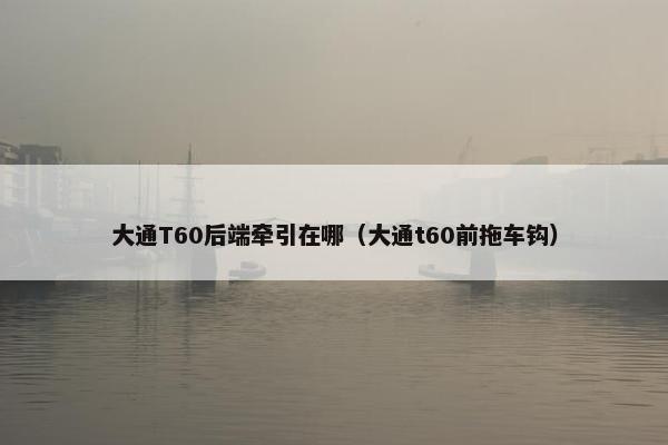 大通T60后端牵引在哪（大通t60前拖车钩）