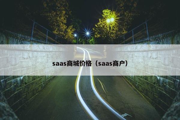 saas商城价格（saas商户）