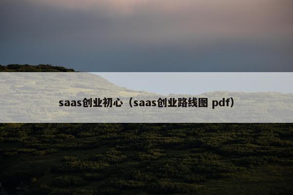 saas创业初心(saas创业路线图 pdf)