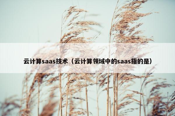 云计算saas技术(云计算领域中的saas指的是)