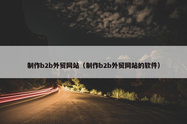 制作b2b外贸网站（制作b2b外贸网站的软件）