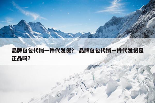 品牌包包代销一件代发货? 品牌包包代销一件代发货是正品吗?