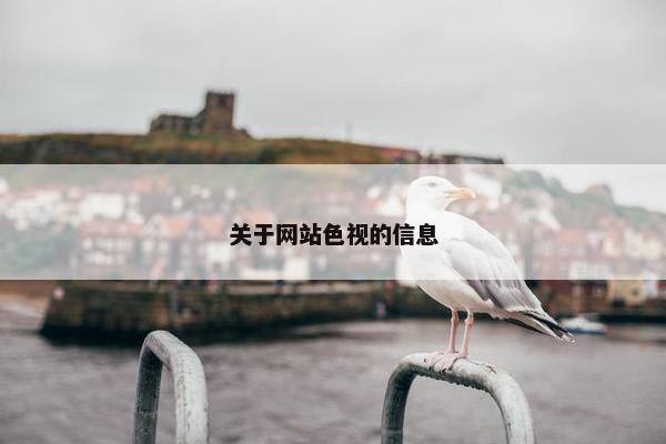 关于网站色视的信息