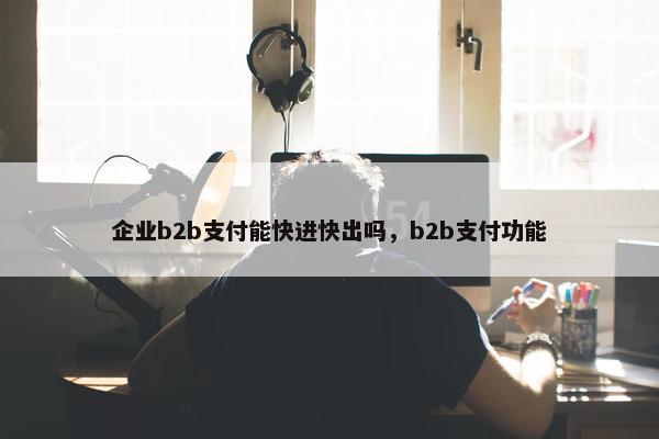 企业b2b支付能快进快出吗，b2b支付功能