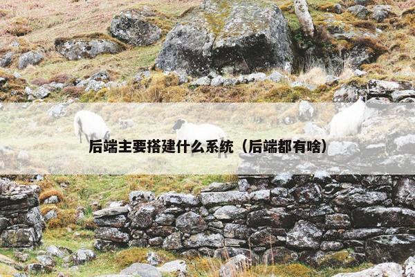 后端主要搭建什么系统(后端都有啥)