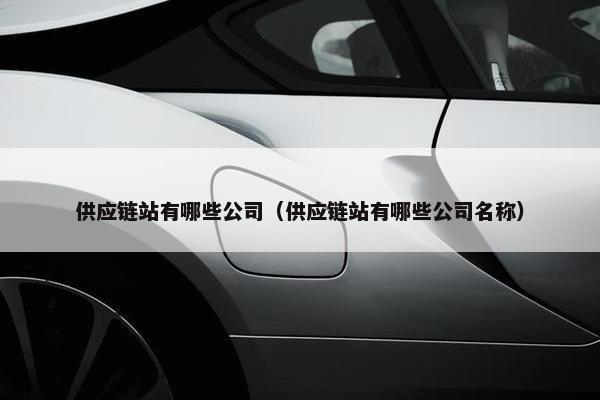 供应链站有哪些公司（供应链站有哪些公司名称）