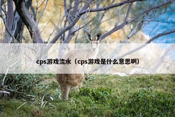 cps游戏流水(cps游戏是什么意思啊)
