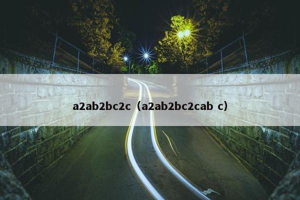 a2ab2bc2c(a2ab2bc2cab c) a2ab2bc2c(a2ab2bc2cab c)