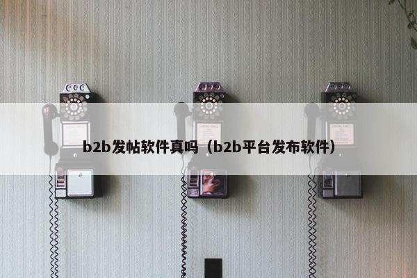b2b发帖软件真吗(b2b平台发布软件) b2b发帖软件真吗(b2b平台发布软件)