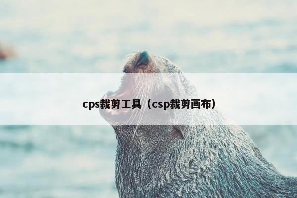 cps裁剪工具(csp裁剪画布)