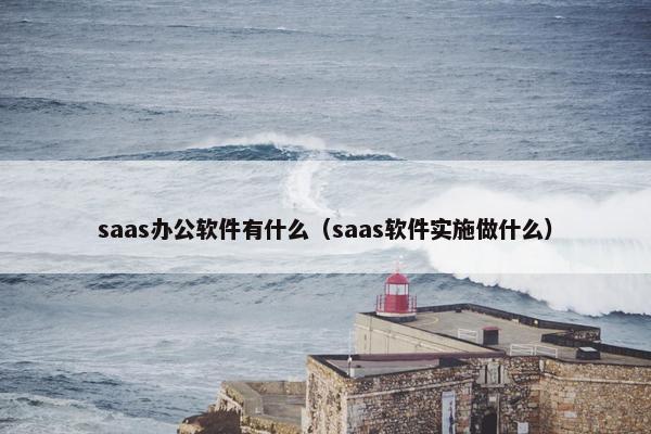 saas办公软件有什么(saas软件实施做什么)