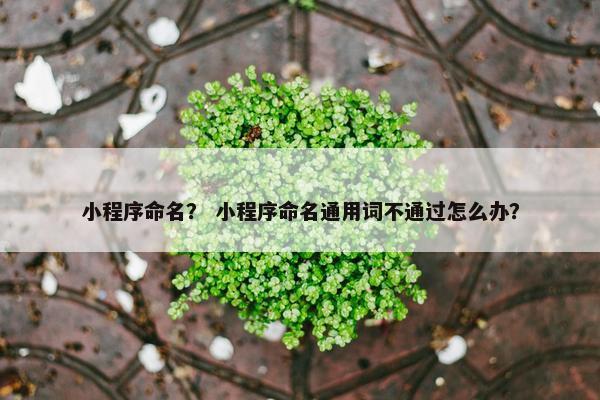 小程序命名? 小程序命名通用词不通过怎么办? 小程序命名? 小程序命名通用词不通过怎么办?