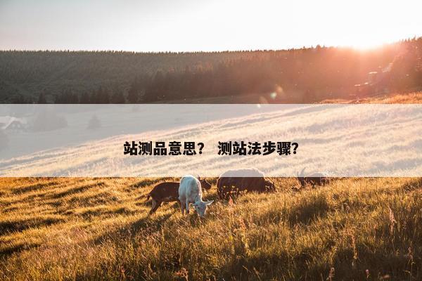 站测品意思？ 测站法步骤？