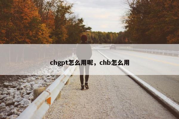 chgpt怎么用呢，chb怎么用