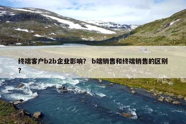 终端客户b2b企业影响？ b端销售和终端销售的区别？