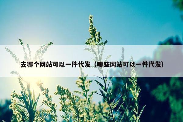 去哪个网站可以一件代发（哪些网站可以一件代发）