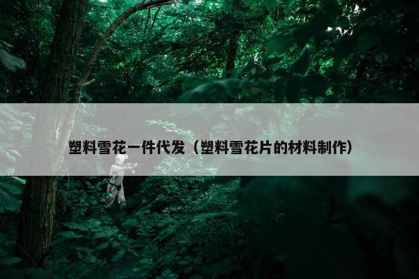 塑料雪花一件代发（塑料雪花片的材料制作）