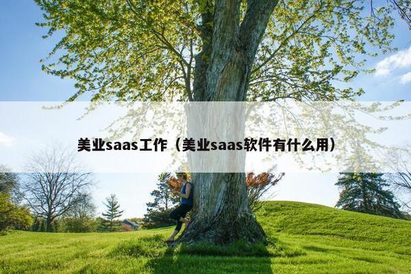 美业saas工作（美业saas软件有什么用）