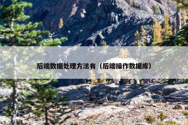 后端数据处理方法有（后端操作数据库）