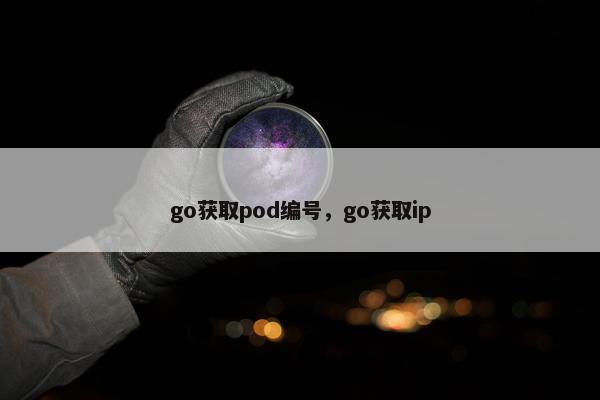 go获取pod编号，go获取ip