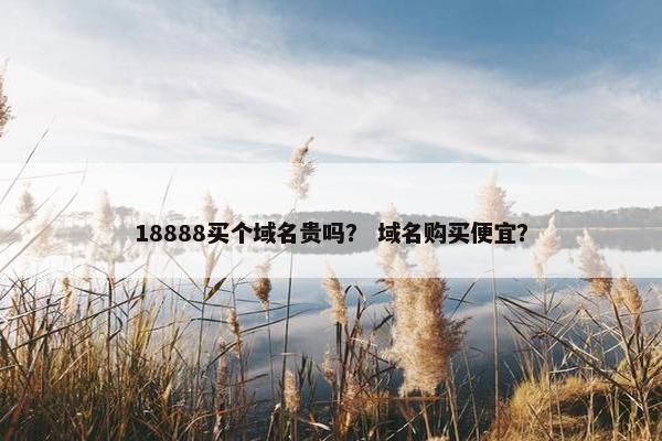 18888买个域名贵吗？ 域名购买便宜？