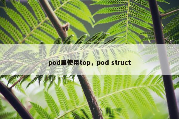 pod里使用top，pod struct