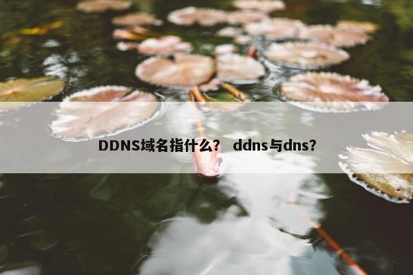 DDNS域名指什么？ ddns与dns？