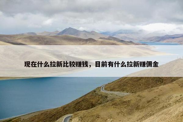 现在什么拉新比较赚钱，目前有什么拉新赚佣金