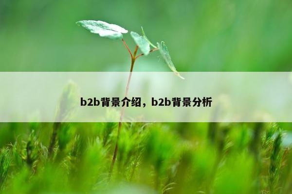 b2b背景介绍，b2b背景分析