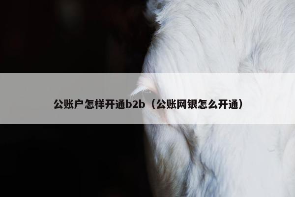 公账户怎样开通b2b(公账网银怎么开通) 公账户怎样开通b2b(公账网银怎么开通)