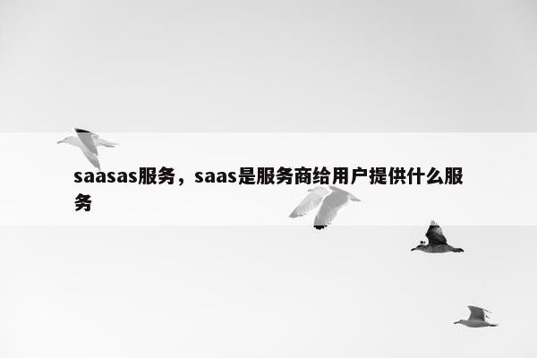 saasas服务，saas是服务商给用户提供什么服务
