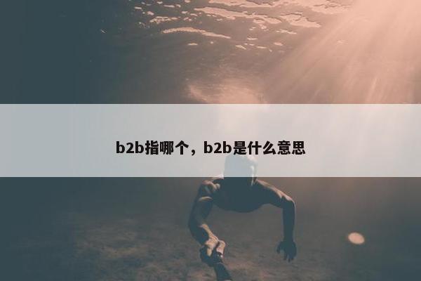 b2b指哪个,b2b是什么意思 b2b指哪个,b2b是什么意思