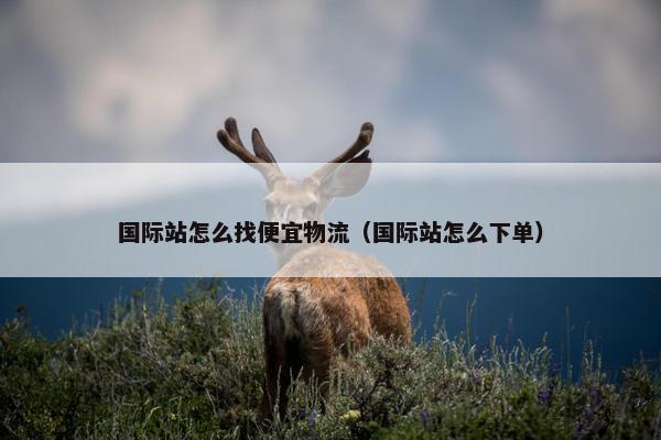 国际站怎么找便宜物流(国际站怎么下单) 国际站怎么找便宜物流(国际站怎么下单)