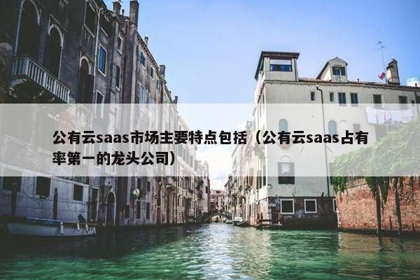 公有云saas市场主要特点包括（公有云saas占有率第一的龙头公司）