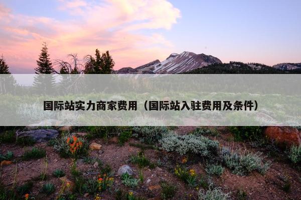 国际站实力商家费用（国际站入驻费用及条件）